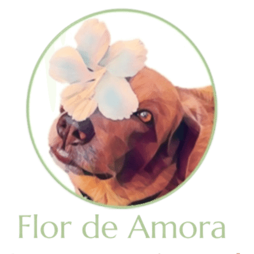 Consultoria pet para empresas