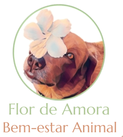 Consultoria pet para empresas